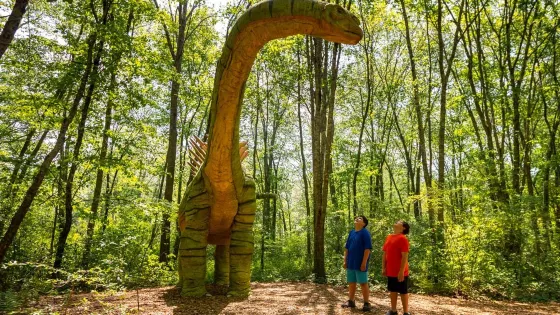 The Dinosaur Place at Nature's Art Village