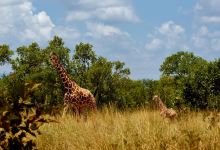 Meru Museum景点图片