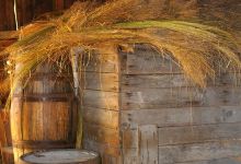 Coggeshall Farm Museum景点图片