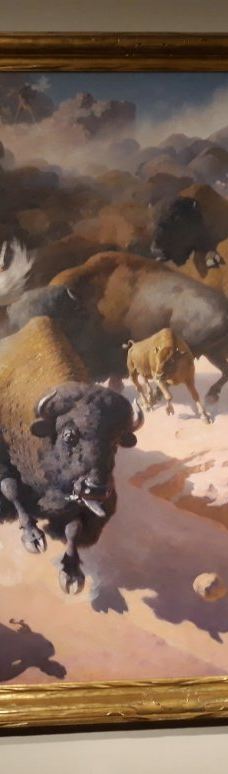 Museum of the Plains Indian-科迪