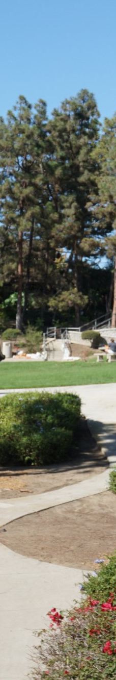 Pines Park-达纳点