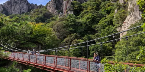 大芚山自然休養林