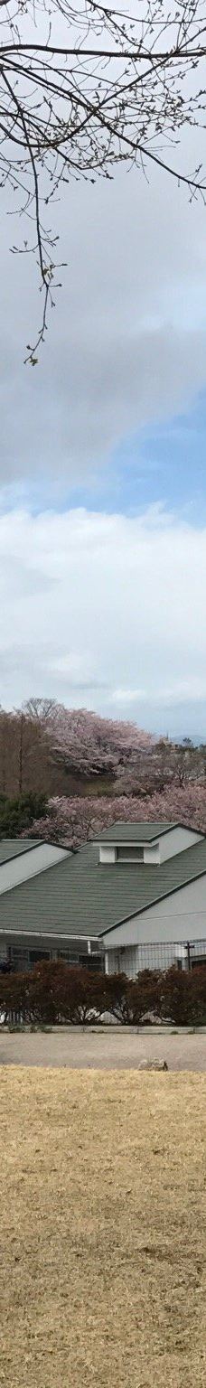 本町田遗迹公园-町田市