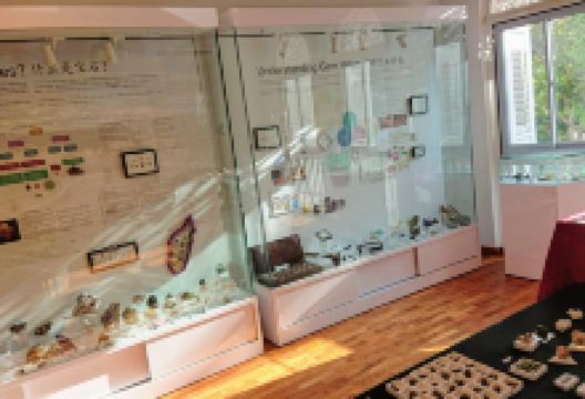 The Gem Museum景点图片