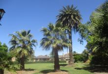 Queen Mary botanic Gardens景点图片