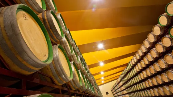 Bodegas Faustino