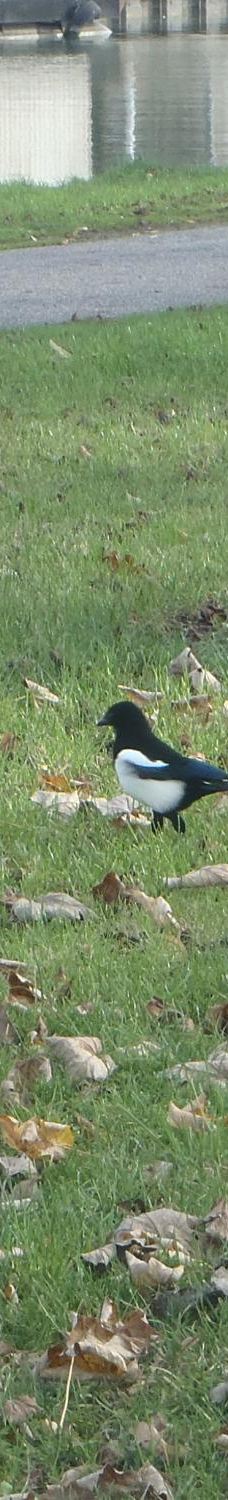 Canal de l'Aisne a la Marne-兰斯