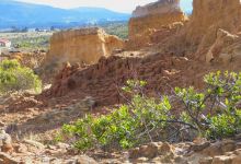 Desierto de la Tatacoita景点图片
