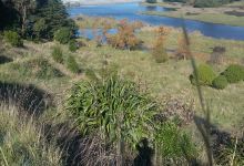 Historic Jed Vale Cemetery Walk景点图片