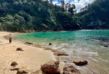 Pokohino Beach景点图片