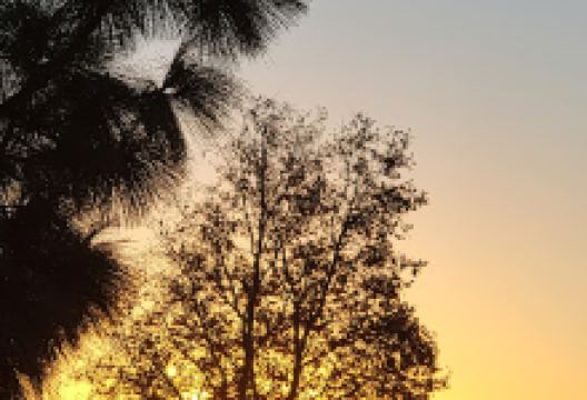 Etiwanda Creek Community & Dog Park景点图片