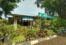 Firdaus Florist购物图片