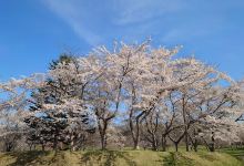 鹿部公園景点图片
