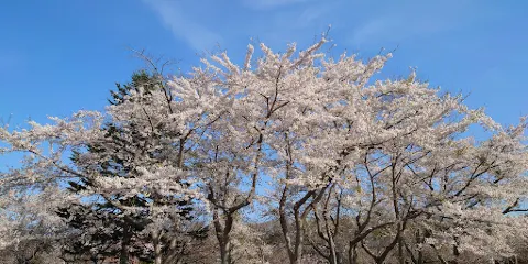 鹿部公園