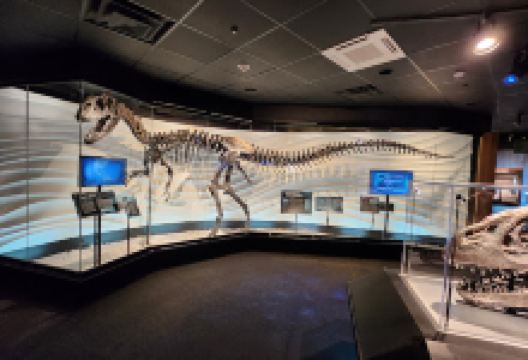 Creation Museum Welcome Center景点图片