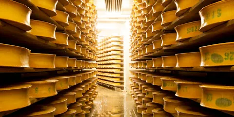 Fromagerie Cooperative de la Vallee des Arves