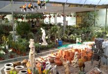 Vivero La Candelaria购物图片