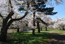 一丈木公園景点图片
