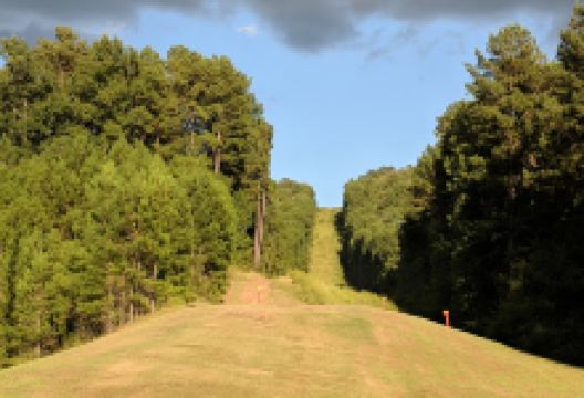 Fun Go Holler Park景点图片