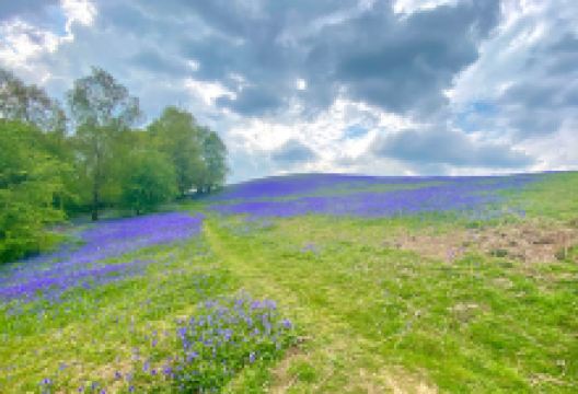 Cam Peak景点图片