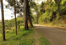 Friends of Usambara Society景点图片