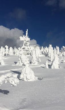 八甲田连峰树冰-青森