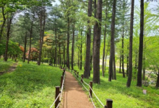 金川世界陶瓷博物馆景点图片