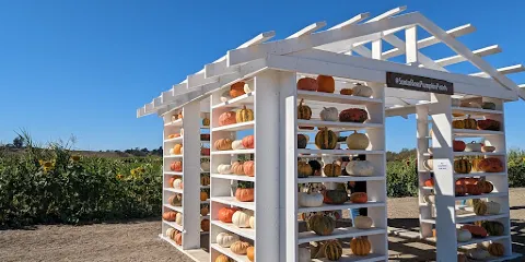 Santa Rosa Pumpkin Patch