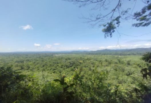 Mirador de los loros景点图片
