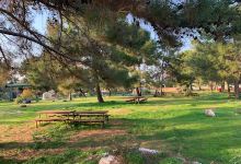 Kyrenia wild life park景点图片