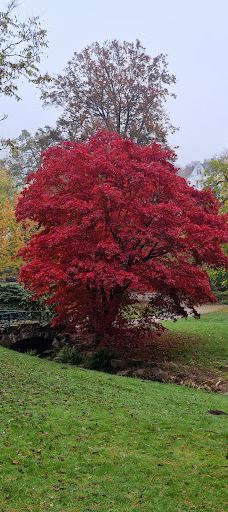 Nerotal-Anlagen-威斯巴登