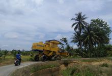 Kg. Bechah Semak景点图片