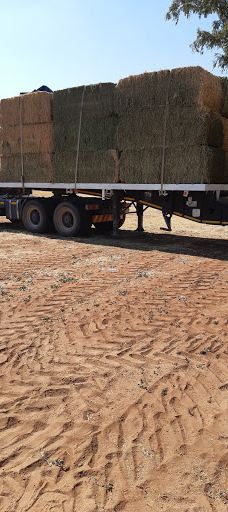 哈茨河-Diamandveld