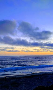 Salt Creek Beach-达纳点