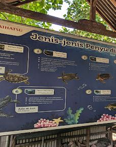Kurma Asih Sea Turtle Conservation Center-巴厘岛