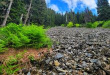 Annette Lake Trailhead景点图片