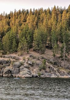 McEuen Park and Dog Park-科达伦