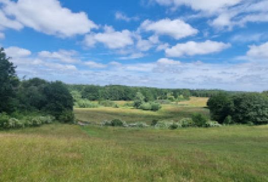 Æren's Mark景点图片