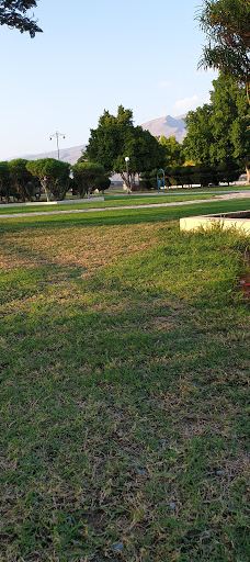 Garden gras-尼兹瓦