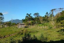 Comunidade Luterana de Santa Isabel - IECLB景点图片