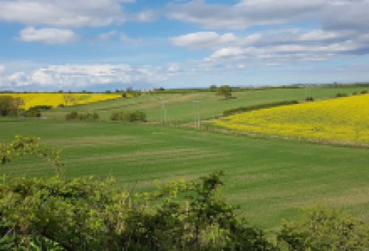 King Coal by David Kemp景点图片