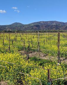 Wildhaven Sonoma Glamping-索诺马县