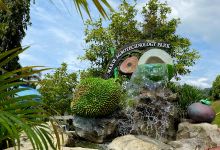 Lubuk Semilang Waterfall景点图片