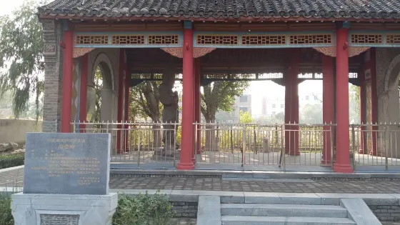 南皮石金剛