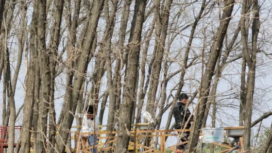 小界鄉嶕嶢春溪露營基地