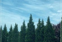元圣周公陵景点图片
