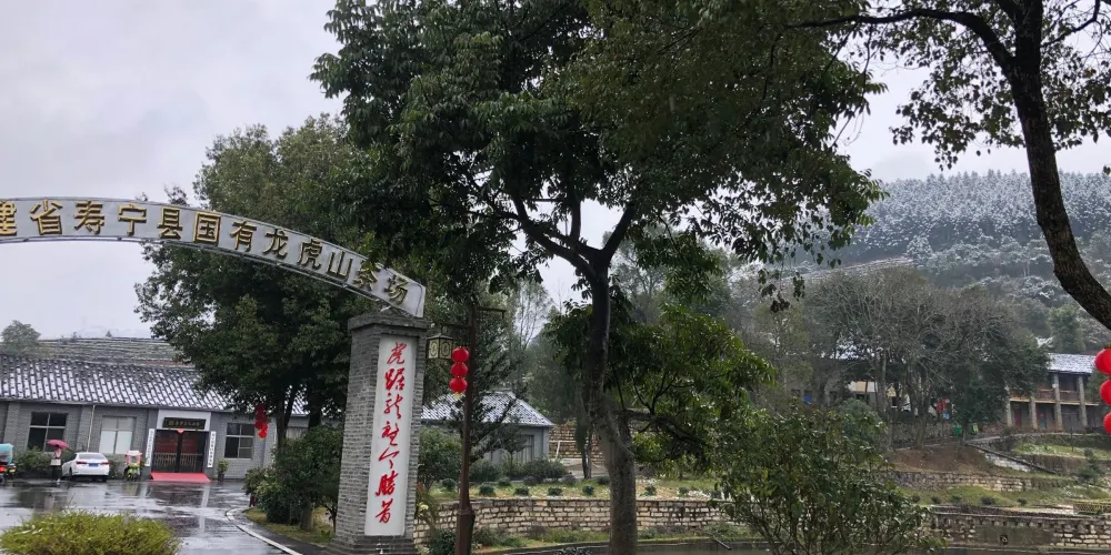 永安旅遊