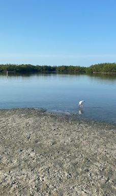 Tigertail Beach-马可岛