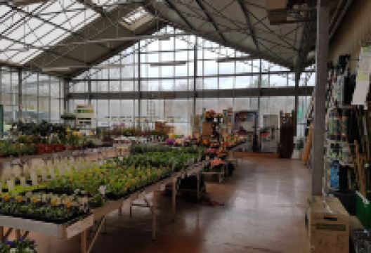 Point Vert - Imling购物图片