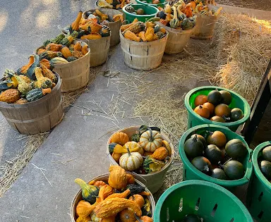 Bry-Anne Farms
